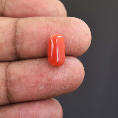 3.3 Cts Italian Red Coral Gemstone - Cabochon