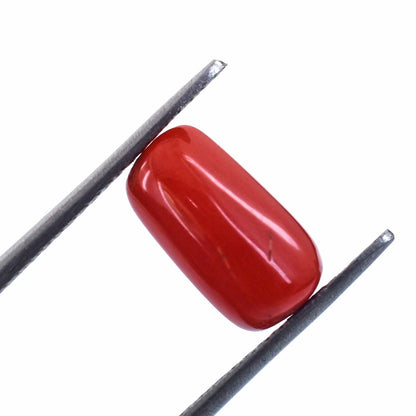 3.3 Cts Italian Red Coral Gemstone - Cabochon