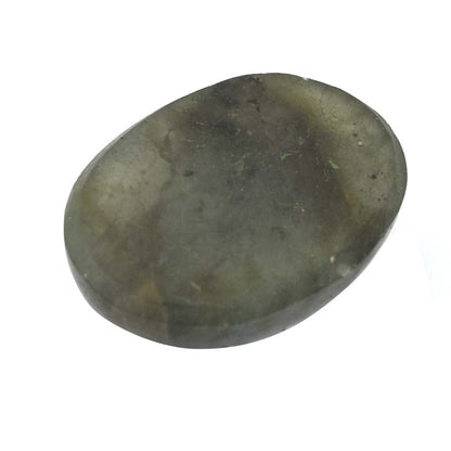 Smooth, oval-shaped stone with mottled gray-green coloration.