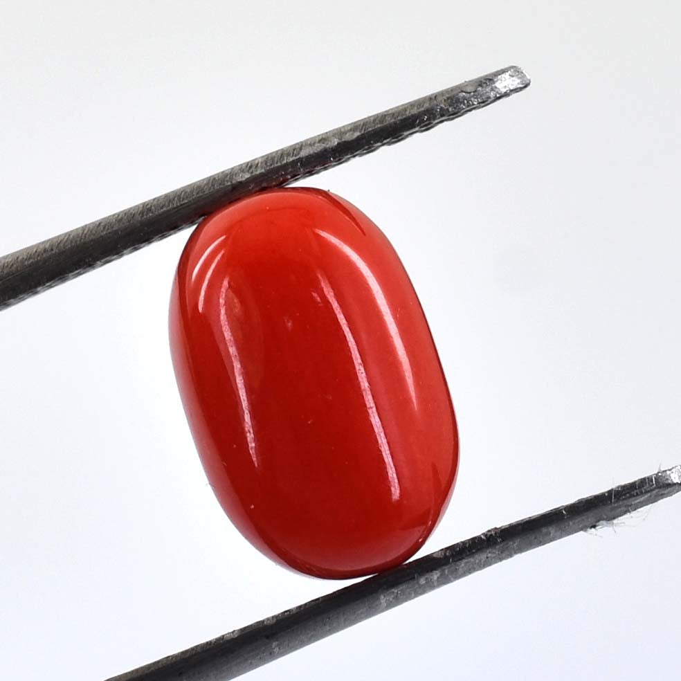 4.56 Ct Italian Red Coral Gemstone - Cabochon