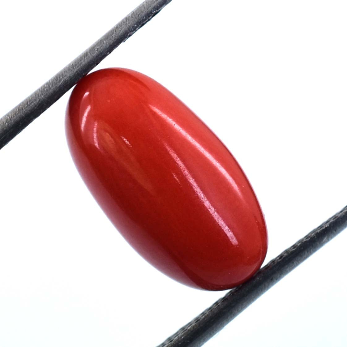 4.6 Cts Italian Red Coral Gemstone - Cabochon